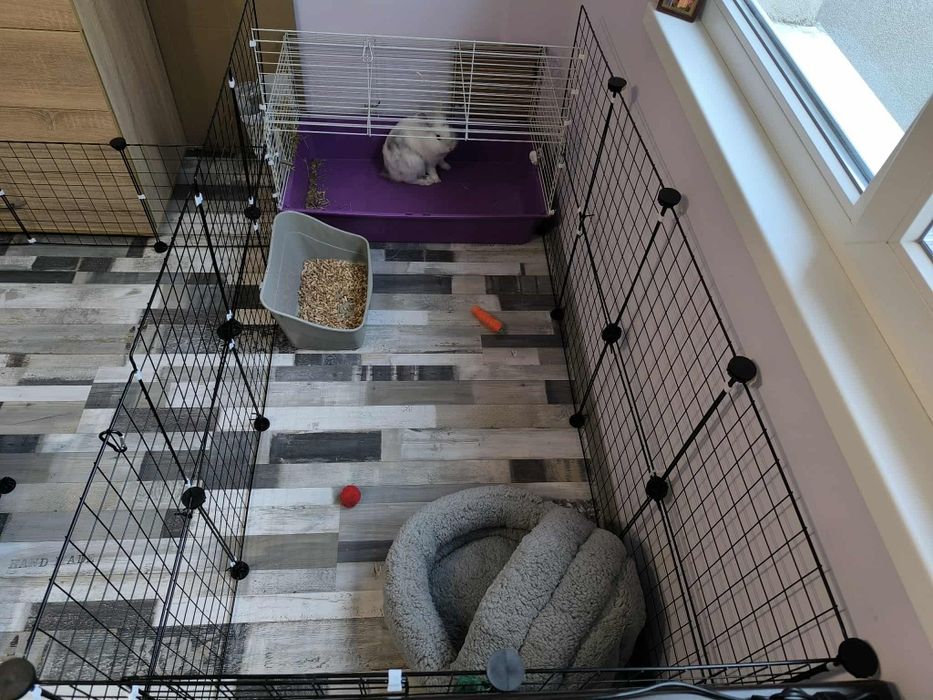 Клетка - ограждение за котки, кучета, зайци и други домашни любимци.