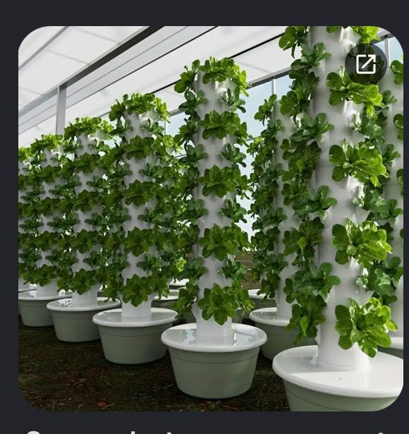 Aquaphonic cu 11 rafturi