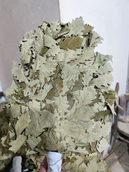 Веники для бани эвкалипт, дуб, масла и запарки.