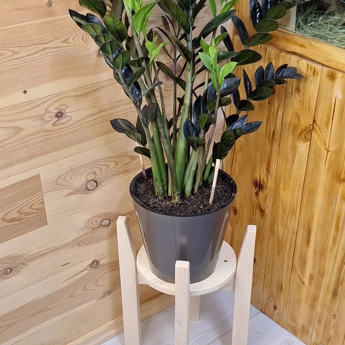 Подставки и Кашпо для цветов из натурального  дерева