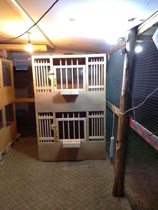 Xo'rozlar uchun katak