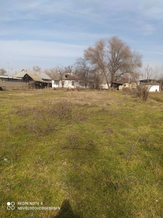 Уй сотилади сирдарёо бахт