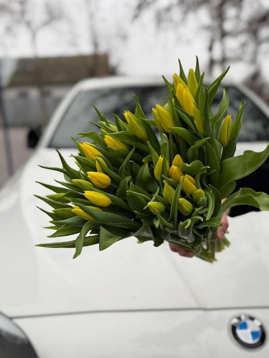 Тюльпаны Тараз Опт