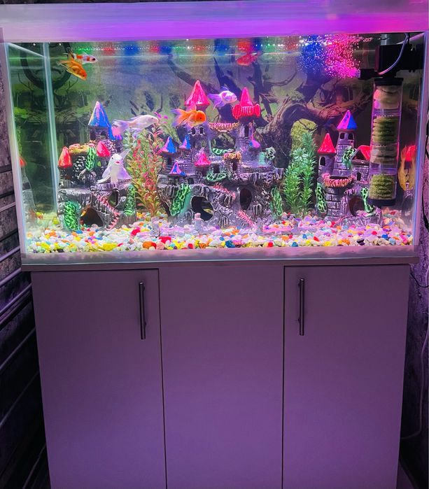 Аквариум ………………………………