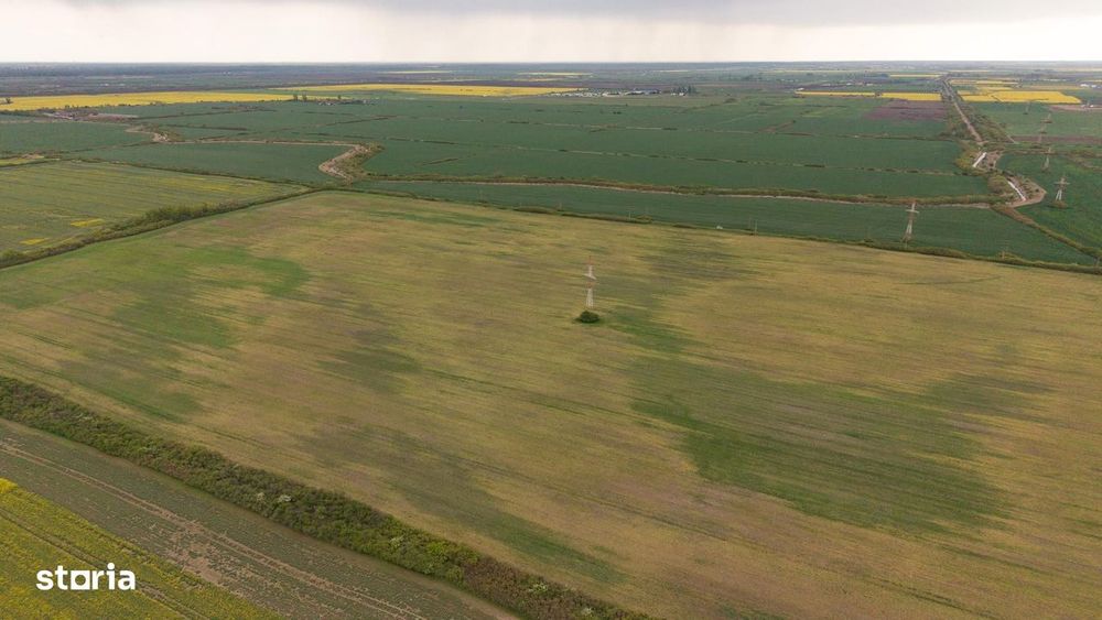 Teren investițional strategic 44.700 mp Arad Vest