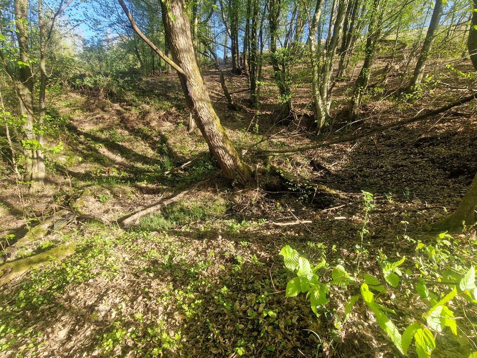 Teren intravilan in Sinteu Valea Tarnei