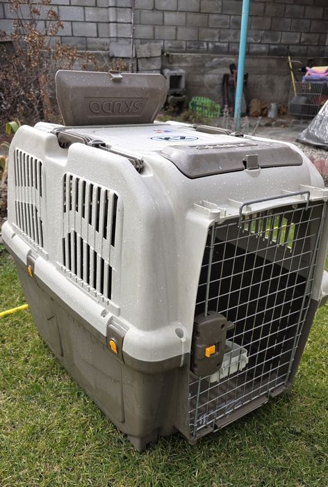 транспортировочный бокс для собак