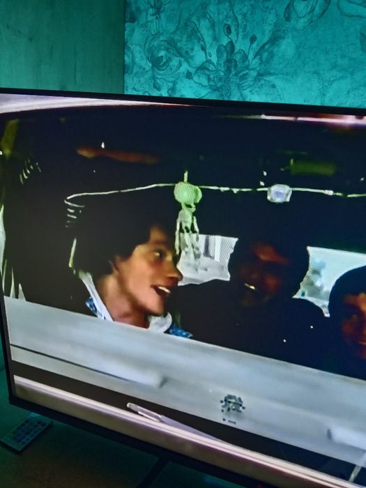 Муха из сериала Бригада.