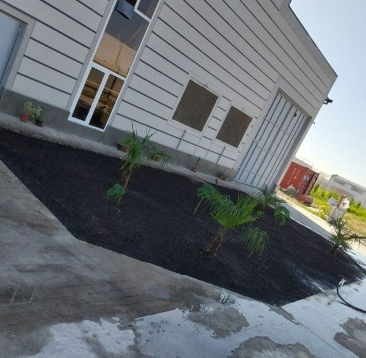 Газон из первих рук