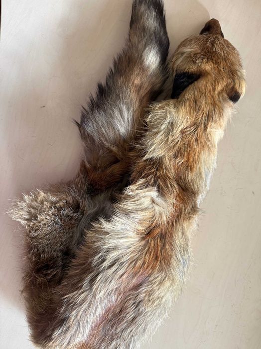 Яка шал лисица естествена кожа