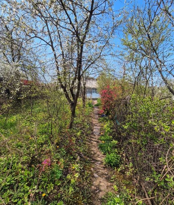 CASA SI CURTE Teliuc  vedere spre lac