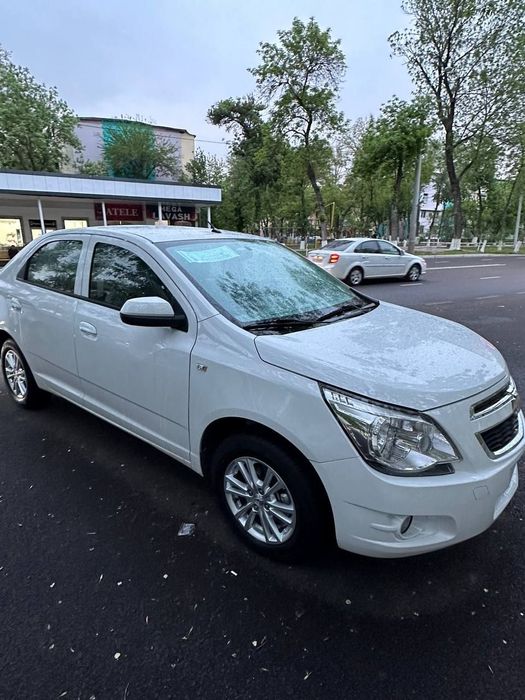 Srochna Cobalt 2025 oktabrda chiqan masla