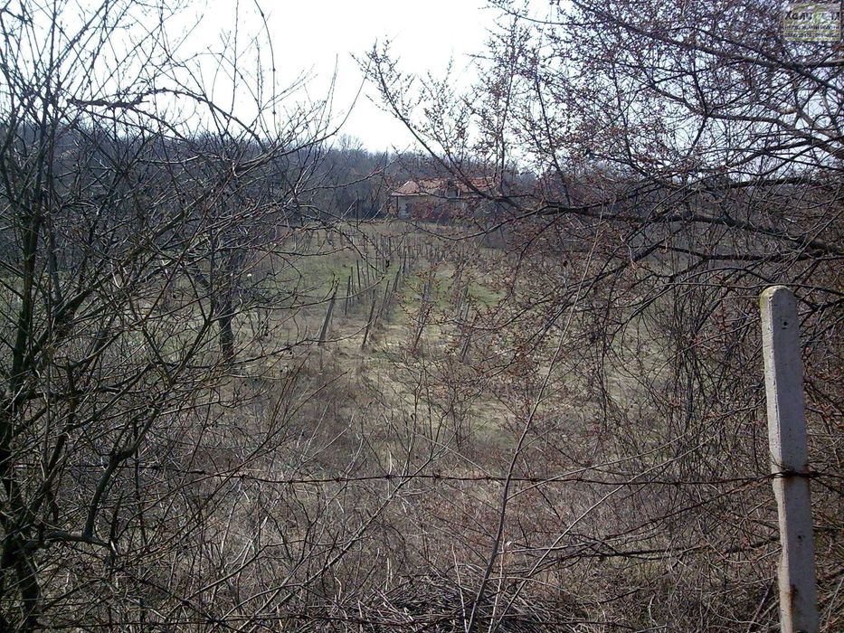 Продава се Парцел в Монтана, Парта 1 - 3720 кв.м за 6 €/кв.м - Снимка #1