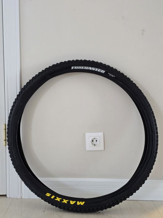 Maxxis forecaster