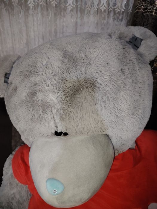 Juda katta ayiq sifatiga garantiya