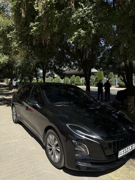 Hongqi eqm5 500km 2024