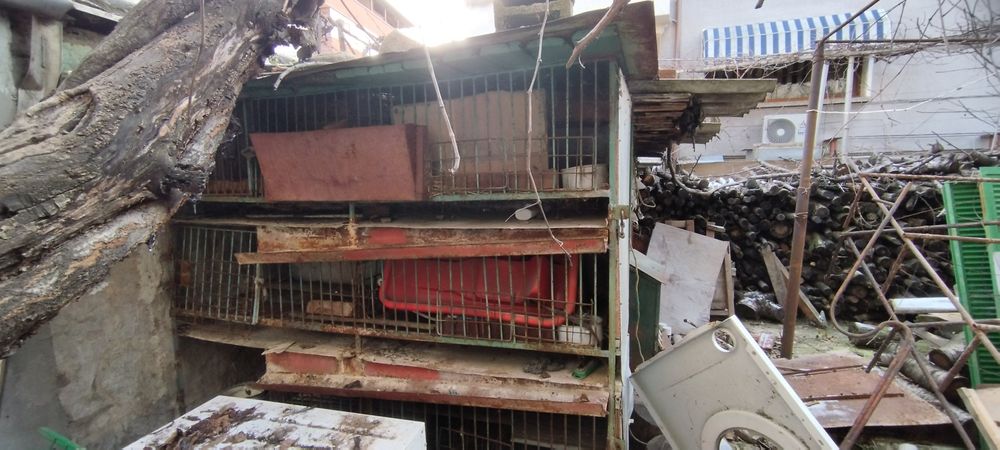 Метален зайчарник