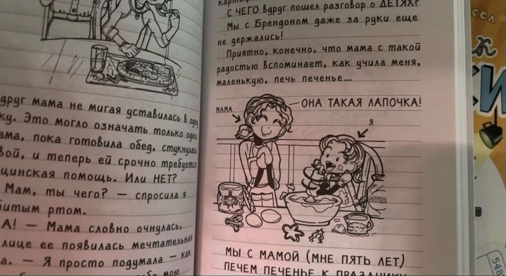 Книга Дневник Никки