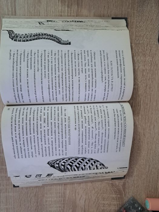 Модицина. Никита Жуков