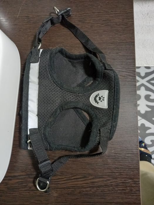 Намордник для мопса