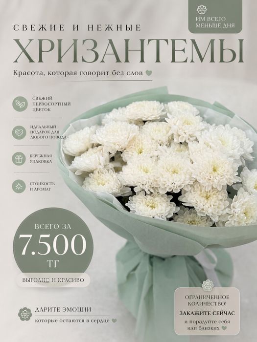 Свежий букет хризантем