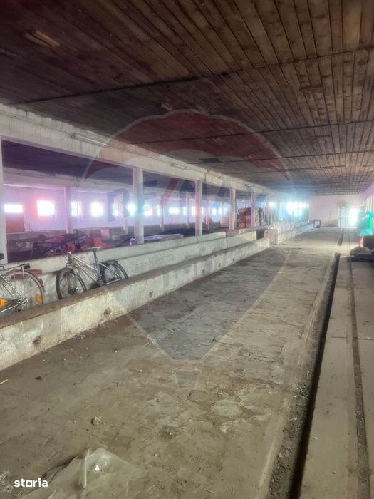 Spațiu Industrial de Închiriat | zona industriala Sofronea