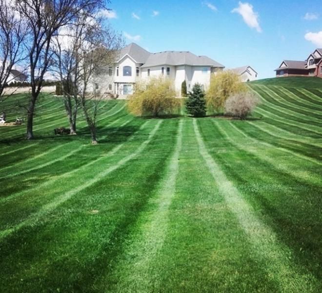 газон уриш хизмати