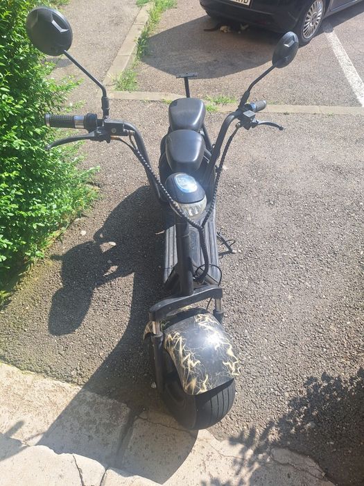 Vand city coco scooter !!