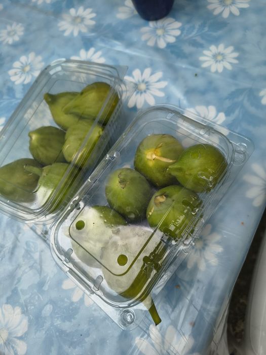 Smochine, borcane pentru legume