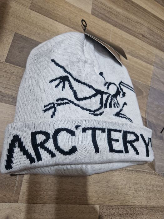 Arcterix beanie y2k vintage