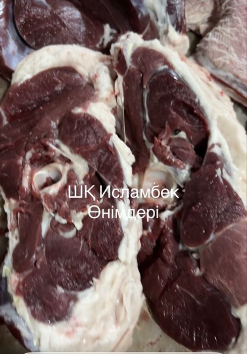 Қой еті баранина мясо