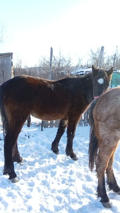 1год 10месяцев,еркек
