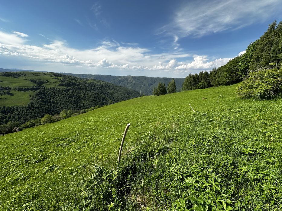 Vand teren extravilan Marisel