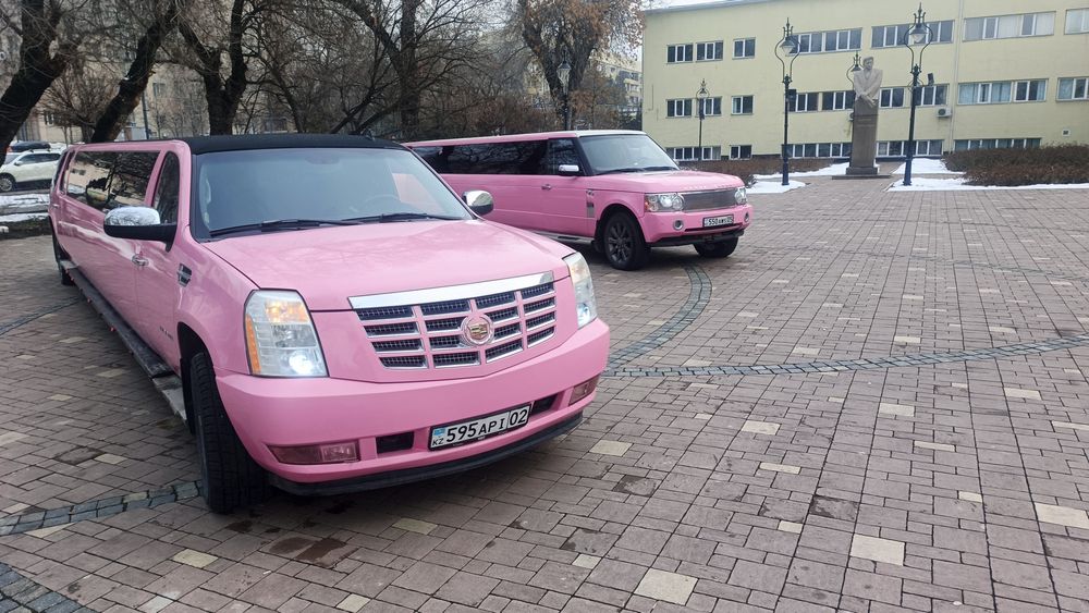 Лимузин на выписку из роддома день рождения свадьба девичник