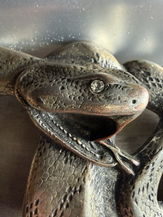 Pafta sarpe cu clopotei