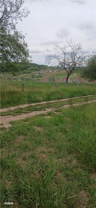 RECO Teren intravilan Hidiselul de Jos langa padure