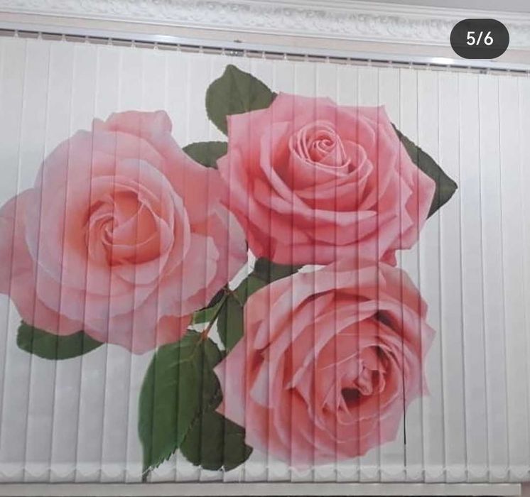 Жалюзи. Фото-Жалюзи