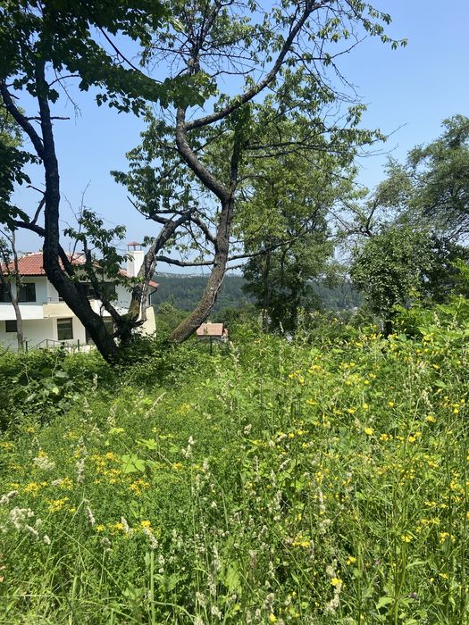 Парцел в Княжево