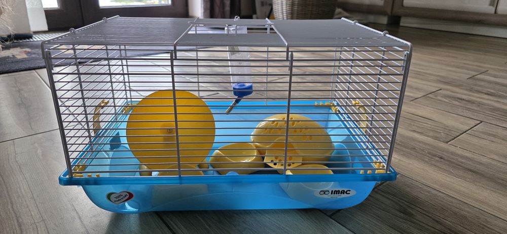 Cusca rozătoare mici (hamster)