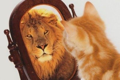 Курсы по самооценке (25 шт)