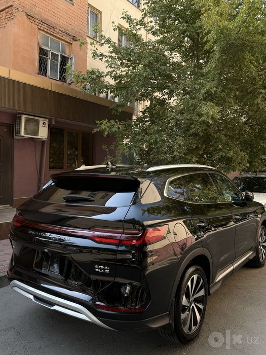 Byd chempiyon 150 tali