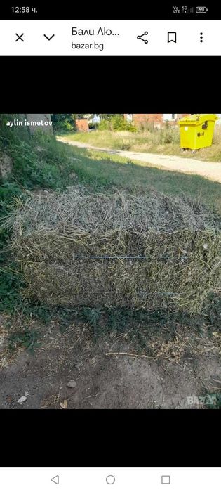 Продавам бали люцерна