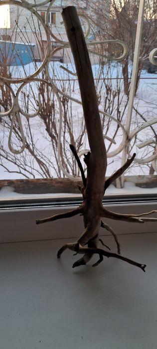 Коряга в аквариум