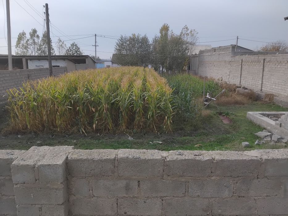 Uy joy yaxshi joyda joylashgan maktab mahalla markazi QVP  150 metr