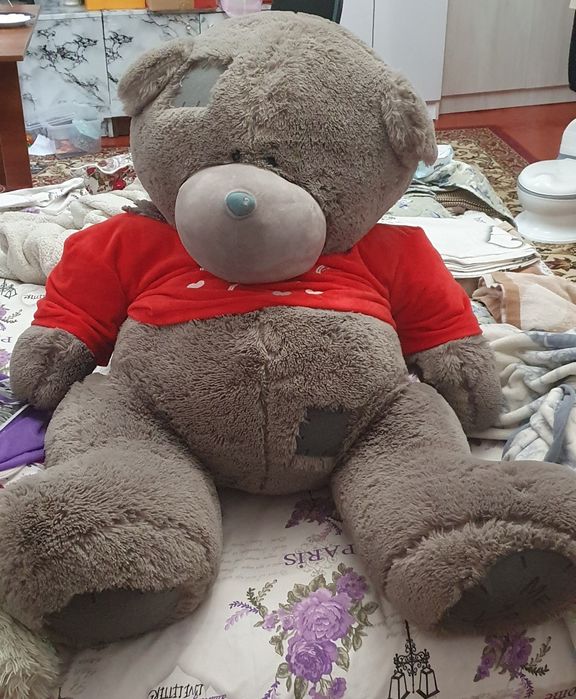 Katta teddy ayigi