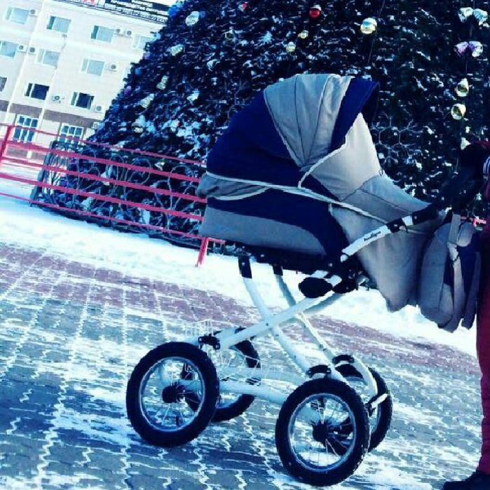 Коляска детская Indigo