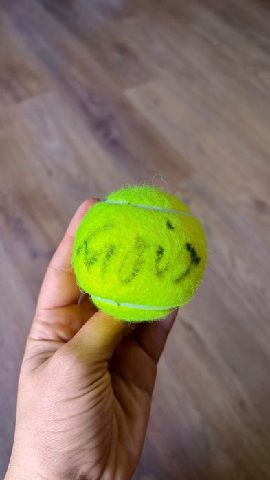 Minge tenis Wilson autograf Horia Tecãu
