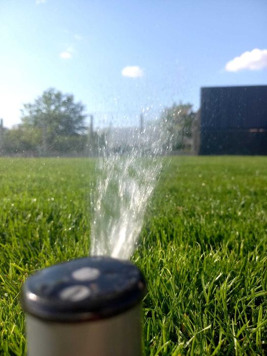 Amenajare curte,gazon rulou,insamantare