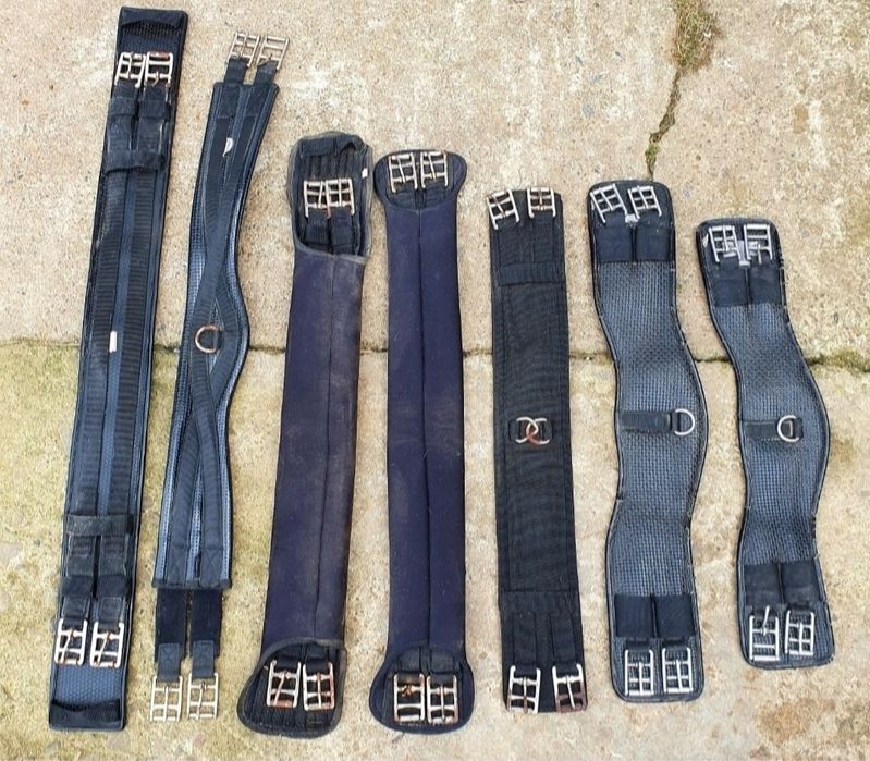 Accesorii calarie echitație