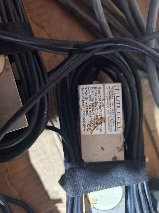 cantar de cantarit Animale